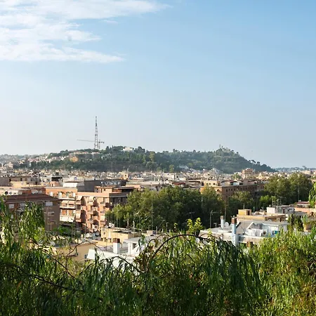 Vatican View Experience
